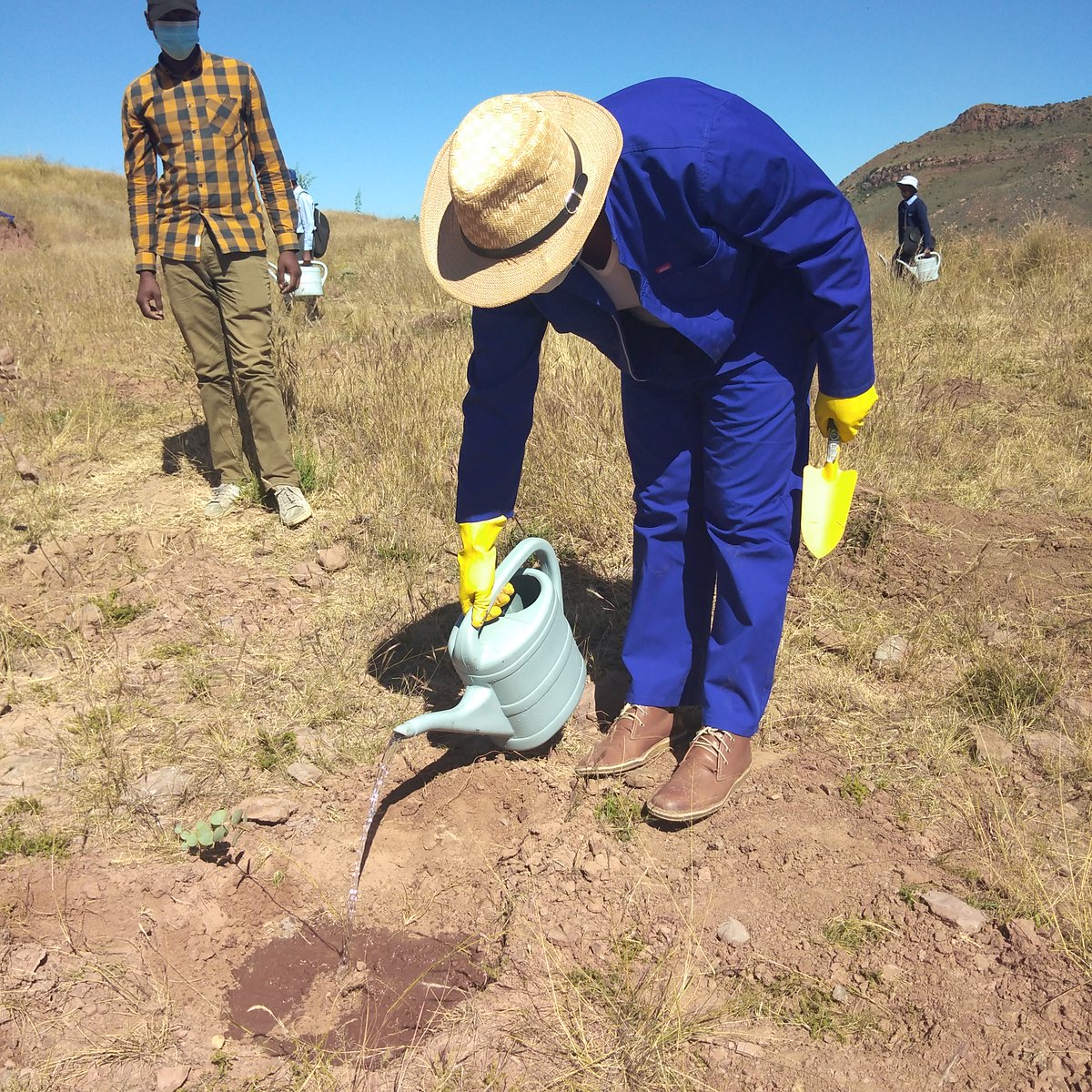 Ministry of Forestry Range and Soil Conservation tweet media
