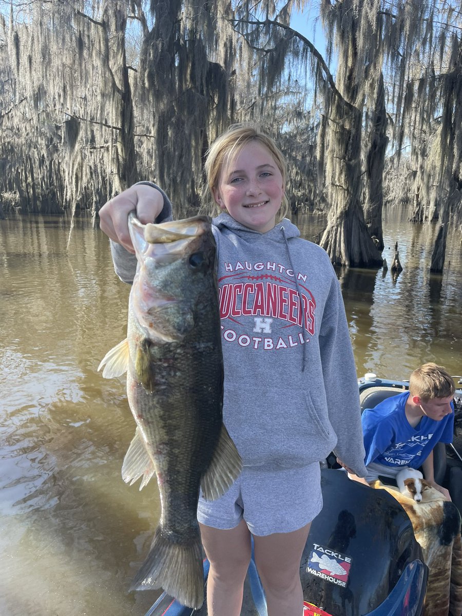 Cypress Tree Posse tweet media