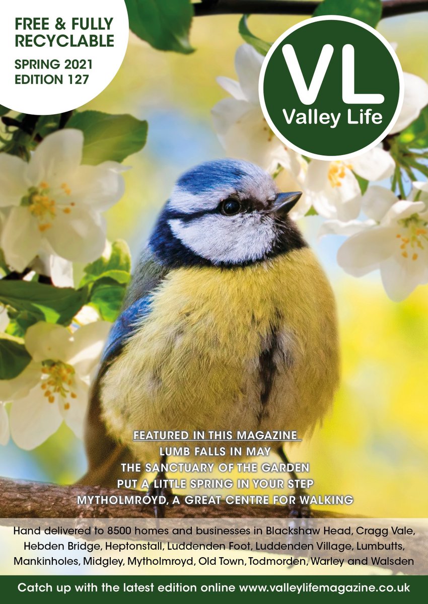 Element Jewellery tweet media