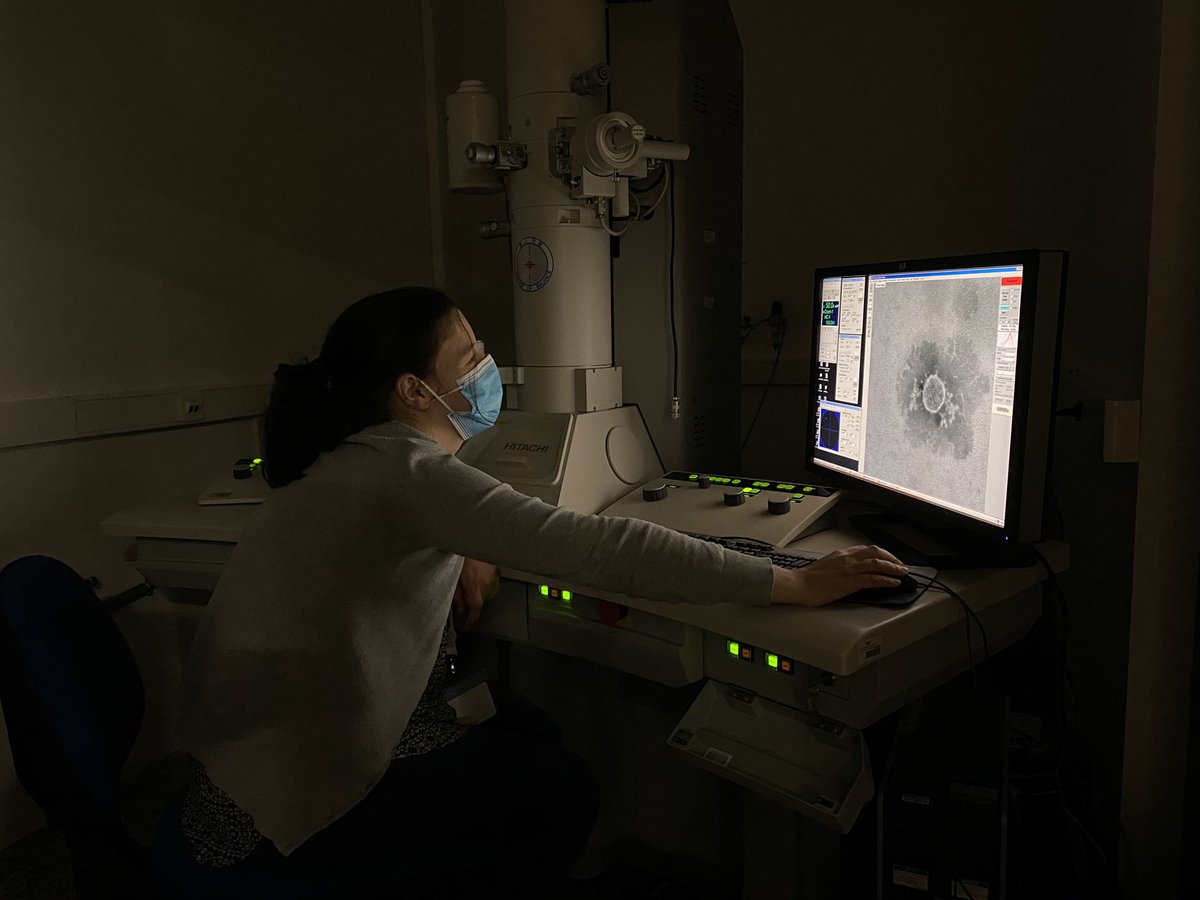 drtranfield's tweet photo. #insideigc we look deep into the structures we study to understand more of the intricate biology happening under (or in this case in) our noses. #virus #research #igcemf https://t.co/wpoIAPIoPr