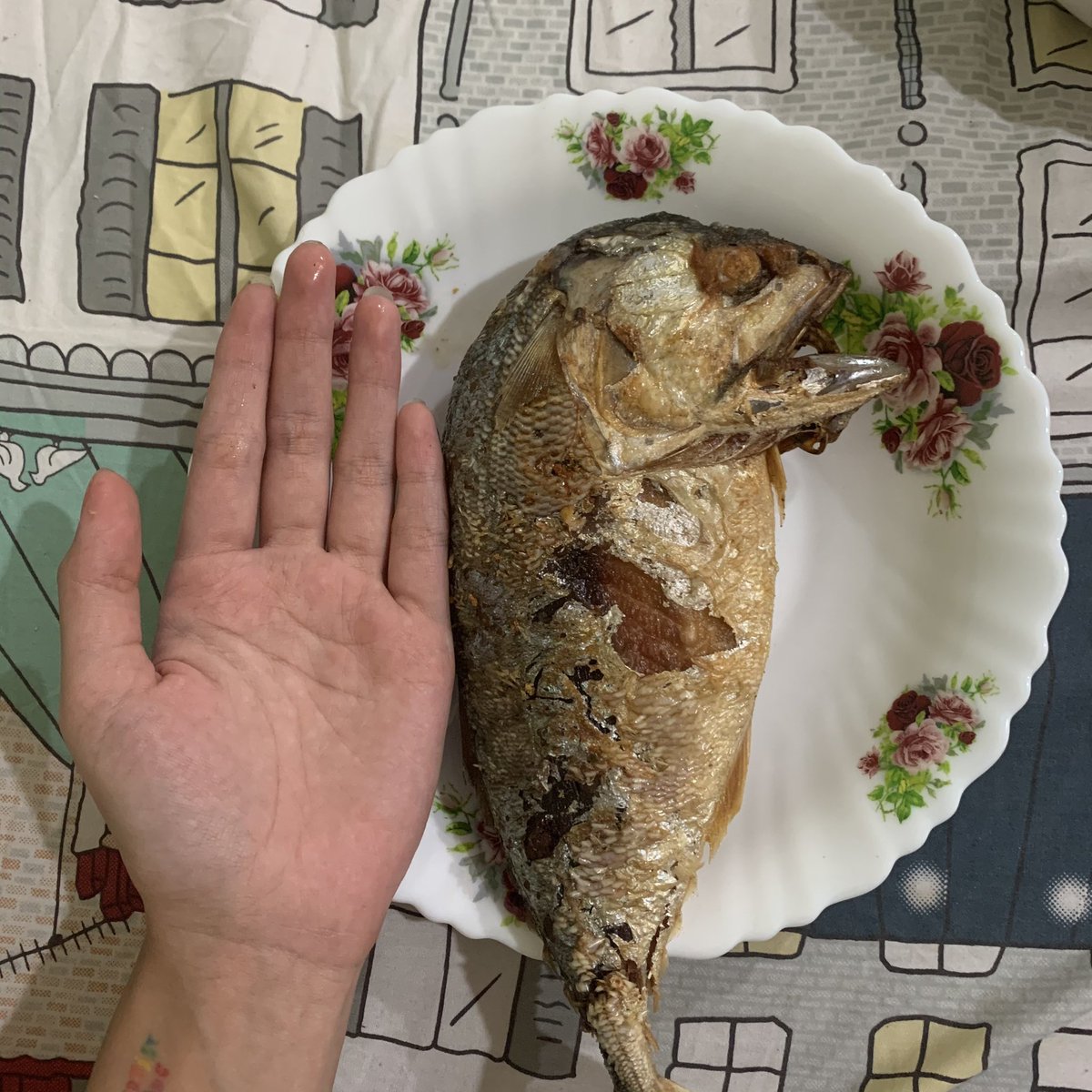 มึงสาบานดิว่ามึงเปนปลาทูอะ