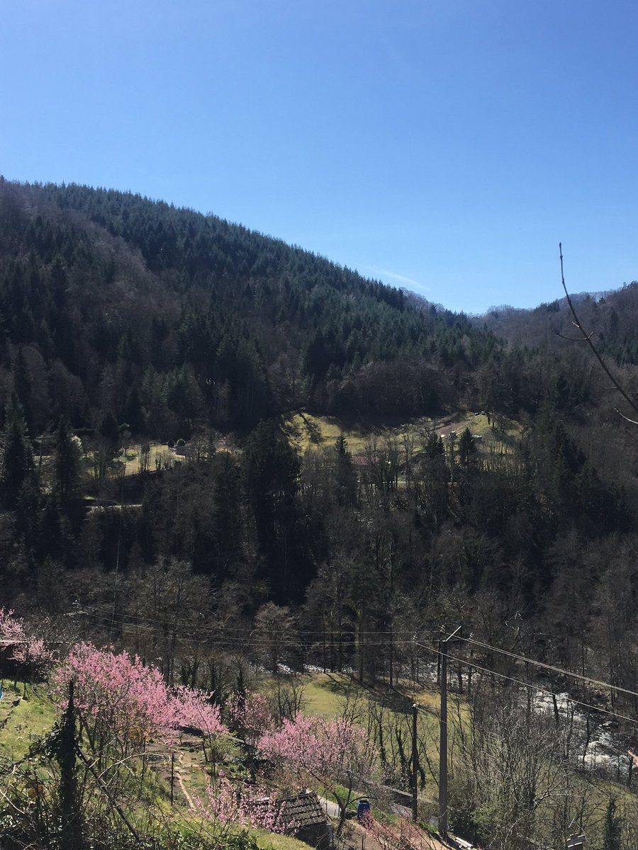Samskitchen's tweet photo. Escape to the French Mountains - chatting with @patmarsh on @BBCRadioKent from 15h00! https://t.co/JqDEf28UbQ