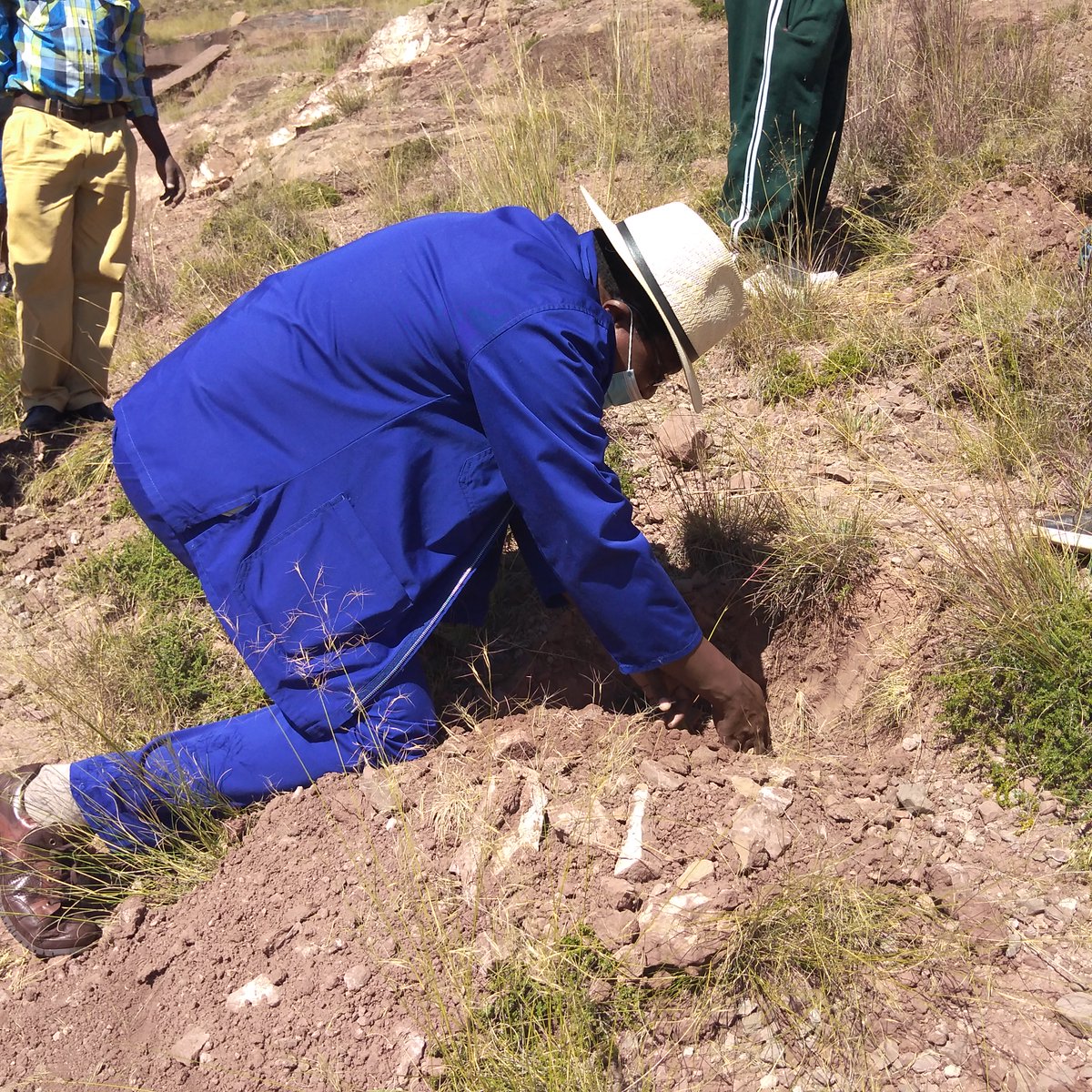 Ministry of Forestry Range and Soil Conservation tweet media