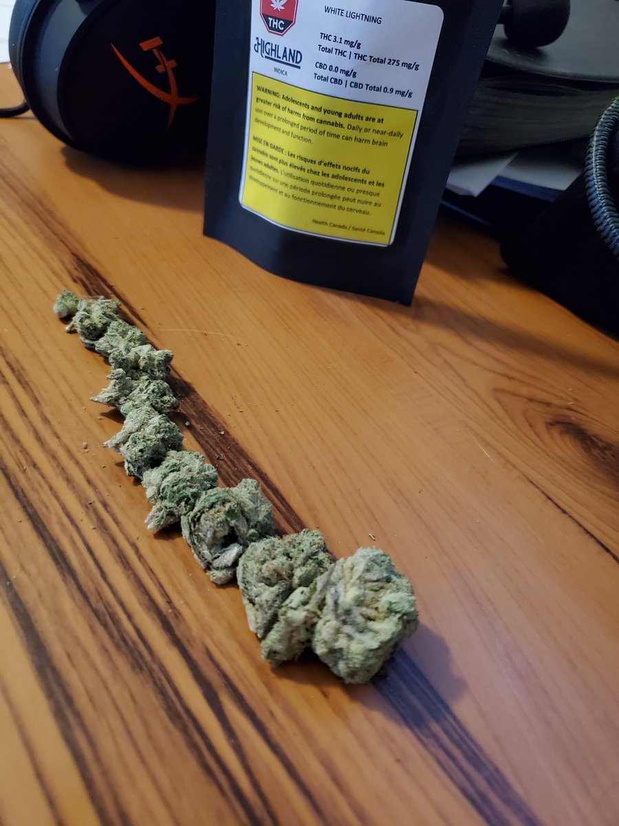 LeJamie__'s tweet photo. . Might of got a 3rd batch of @HighlandGrow - white lightning 😅 https://t.co/T8zn1qeMx7