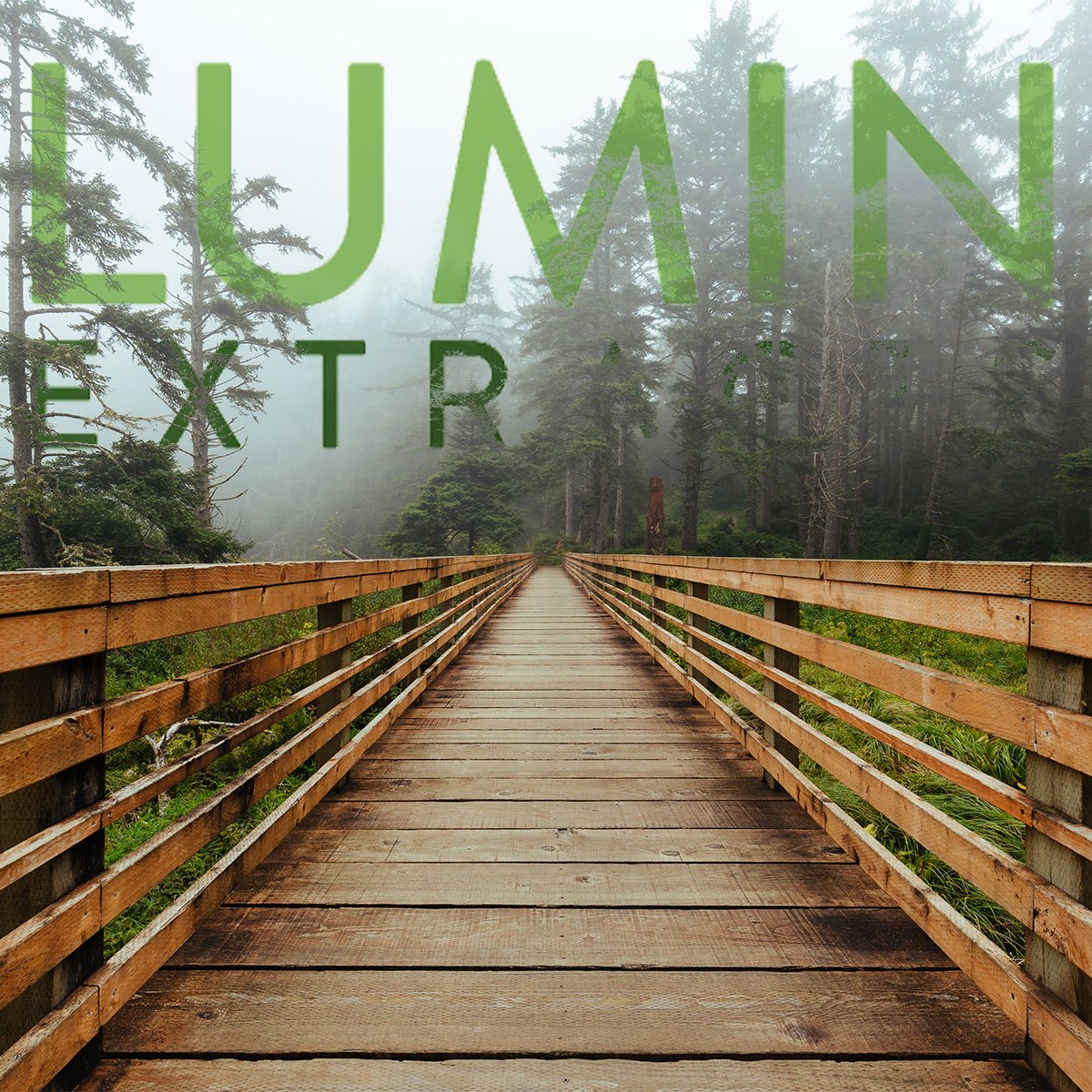 lumin_extracts's tweet photo. Offering a pathway for conventional and organic farmers alike, our unique remediation techniques can create compliant THC-Free extracts without the use of solvents and with a higher throughput than the industry standard approach to THC removal. ✨ https://t.co/q0ZB8dvnD1