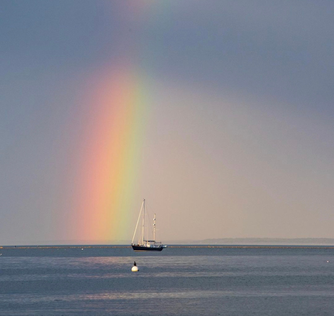 HarborHempCo's tweet photo. โThe sea has boundless patience.โ -Craig Robertson
๐ท: @fonchezphotos
#navigateyourowncourse #harborhemp #cbd #cbdoil #labtested #fullspectrumcbd #zerothc #hempoil #hemp #newengland #cbdseltzer #petcbd #connecticutcbd #ctmade #connecticut #craftcbd https://t.co/RcK14Qtbnz