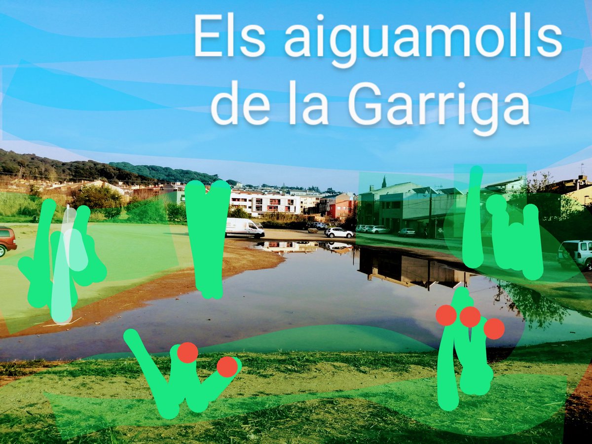 lluisff's tweet photo. Aquesta setmana santa es poden visitar els #aiguamollsdelagarriga Nova atracccio natural del municipi @ajlagarriga al c/bassal (ara sabem d'on ve el nom) @GarrigaDigital @lagarrigacdv @lagarriga @PcLaGarriga Si us plau, no aparqueu cotxes a prop per tal de respectar els Anecs. https://t.co/0o1W1wl2tR