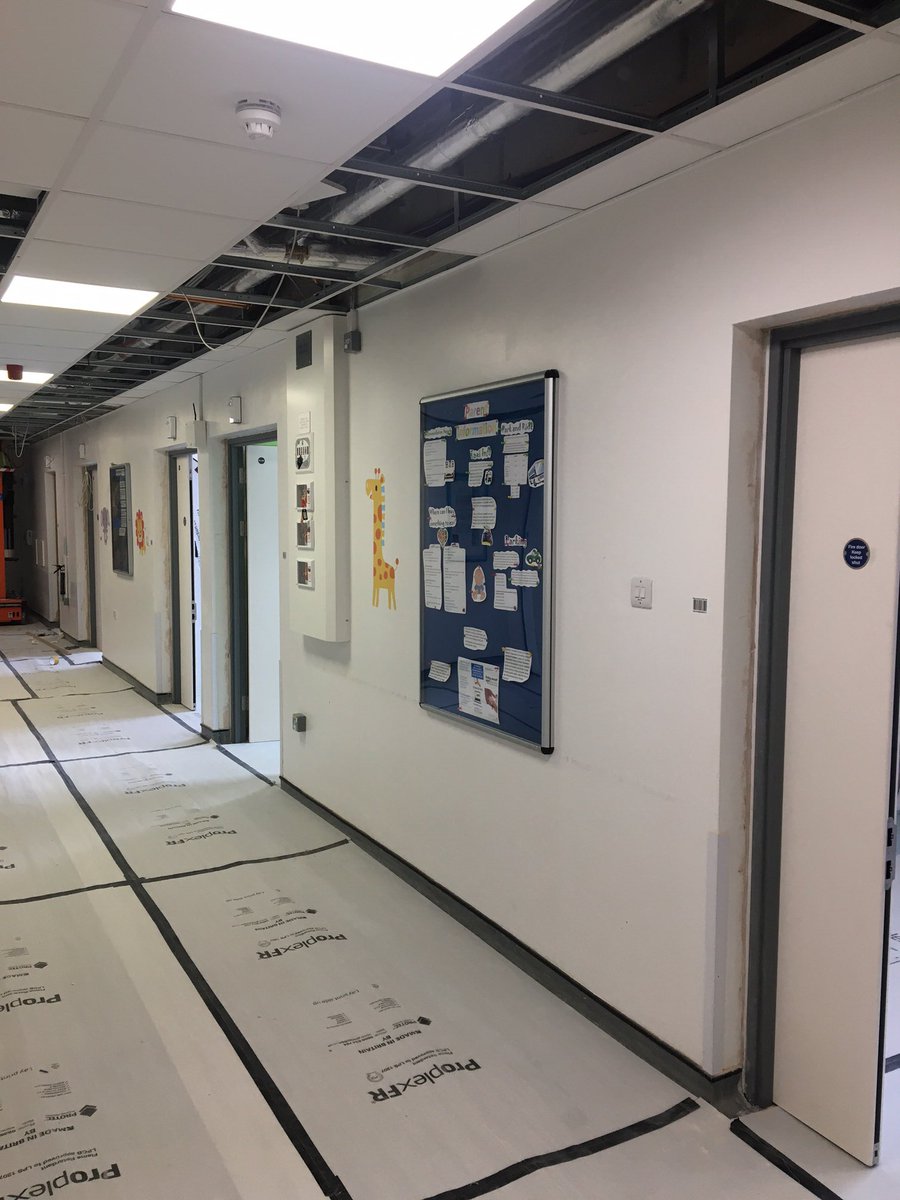 Sarah Walker tweet media