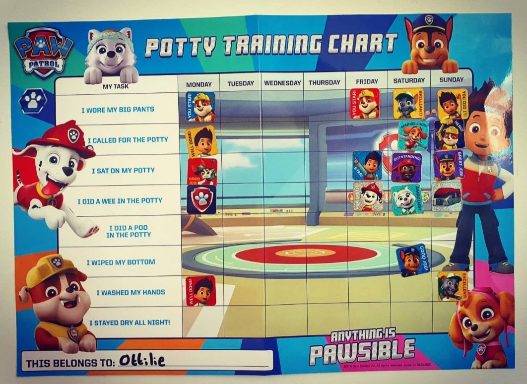 PoddyTraining's tweet photo. This has been an absolute saviour this weekend.Can't recommend it enough. We are now on day 4 of Potty Training Ottilie and for the first time since Friday she now asks for her briefs instead of nappies. Can't wait to discuss with @JonGriffiths83 this forthcoming season. https://t.co/lOQaHB4SgP