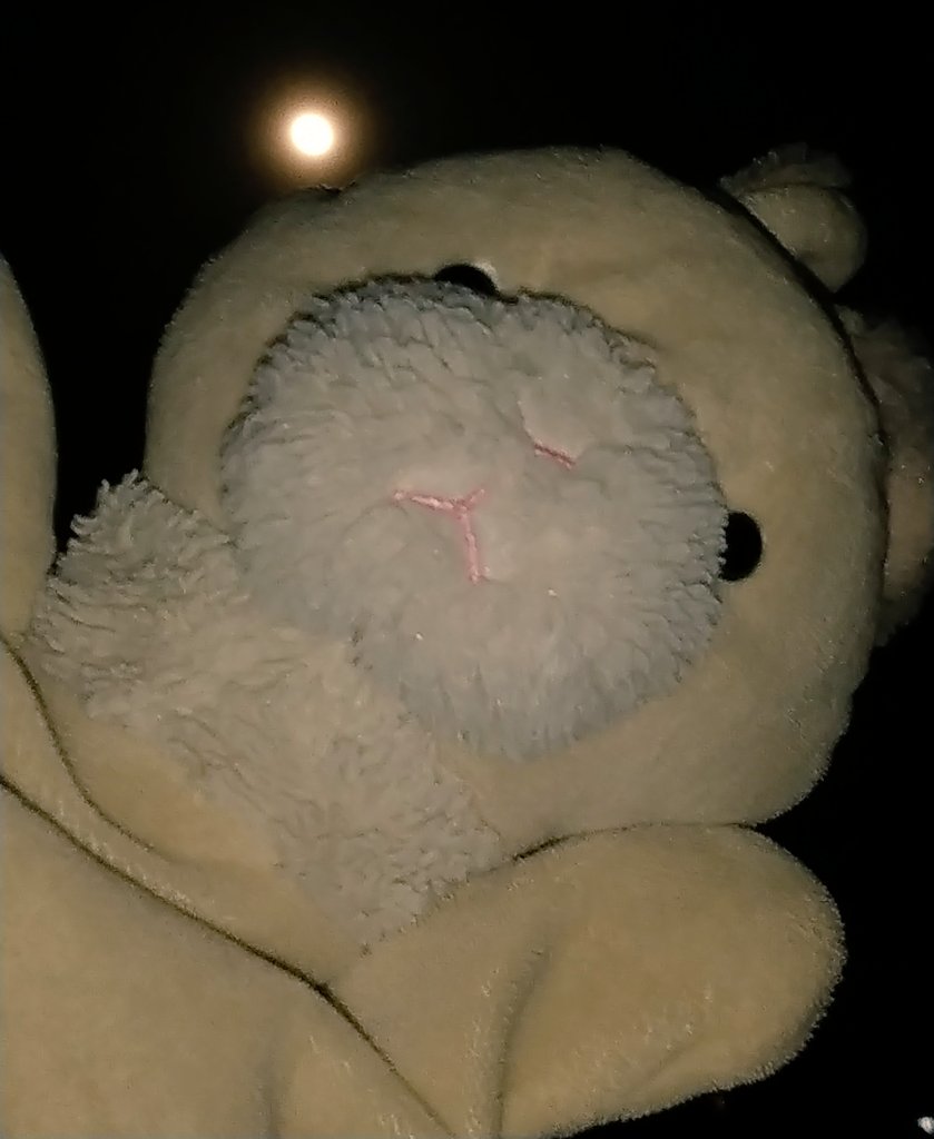 wpi417s4's tweet photo. じょしゅあくん🐰と #満月 🌕️
#Fullmoon #ワームムーン
#イマソラ #WarmMoon #月
今朝の呟きにこっそり🌕️つけておいたの気づいた方いるでしょうか🤭 https://t.co/lhvG0Baw5n