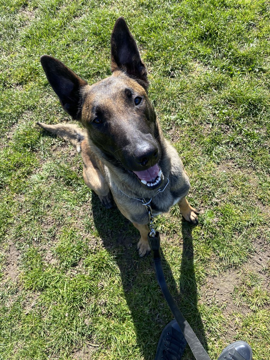 keepingit_keely's tweet photo. What a glorious day for an adventure 🔆🐶 https://t.co/oDemBlxbAA