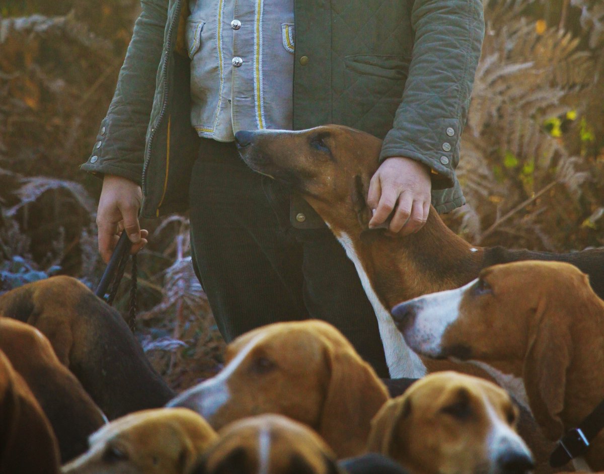 chasseacourre's tweet photo. Alors que la saison arrive à son terme, voici ce que nous retiendrons : l’inébranlable force des #veneurs à défendre leur passion et l’élan de solidarité de l’ensemble des acteurs de la #chasse, de la #ruralité. La #ChasseACourre en sort renforcée 📯

Alors un seul mot : merci 💚 https://t.co/eMa7H03xvA