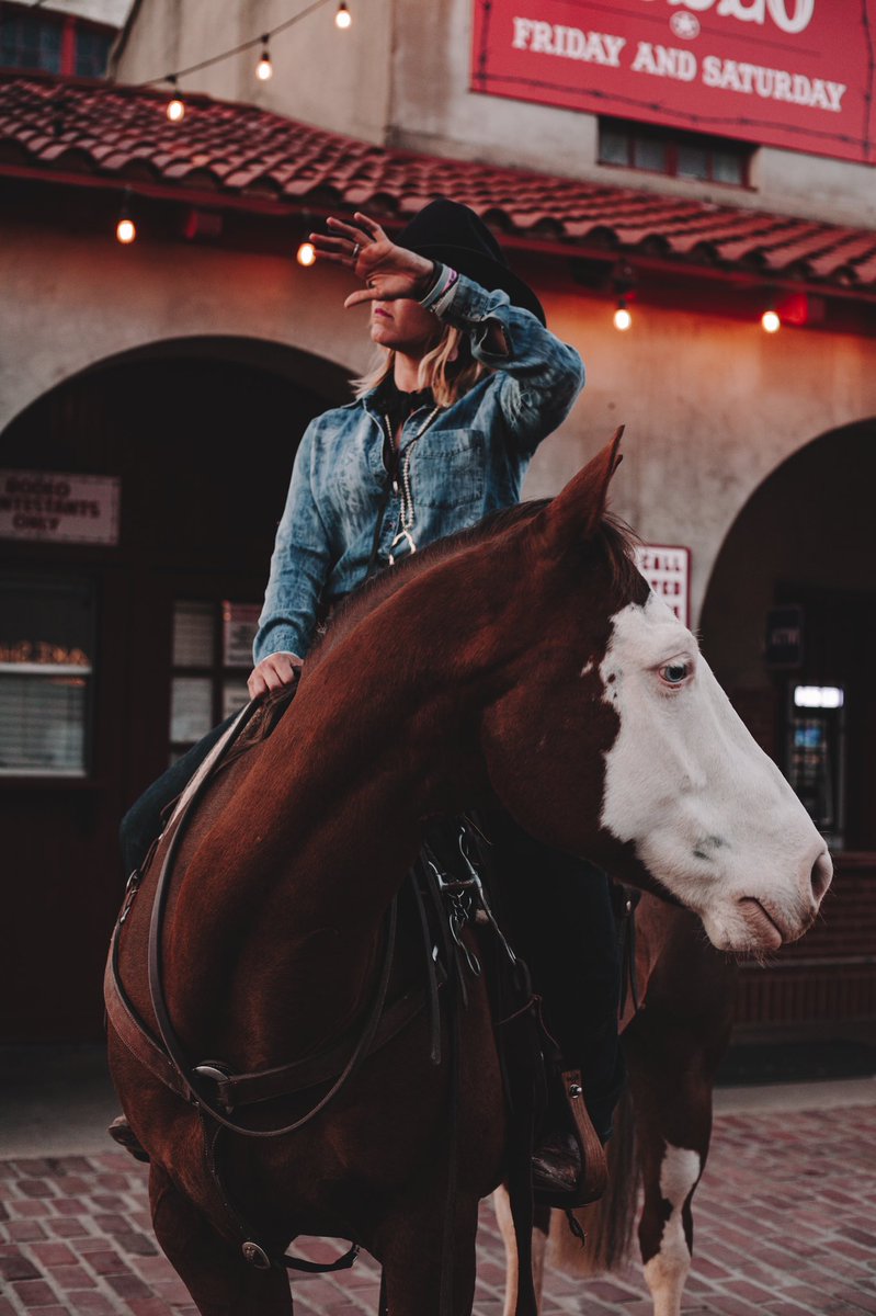 CahillKellie's tweet photo. Not your average horse sale shoot 🤪😂 Can’t wait to share more of these with y’all 🎉 https://t.co/1yCGHNHgYu