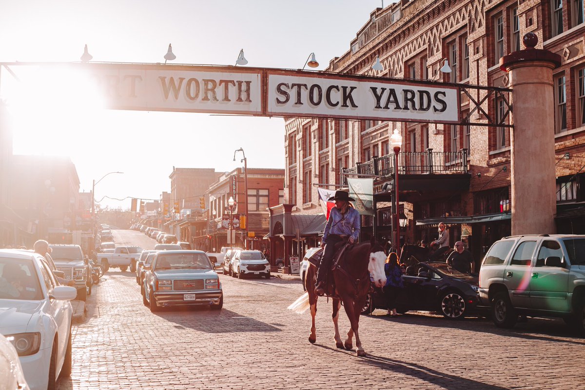 CahillKellie's tweet photo. Not your average horse sale shoot 🤪😂 Can’t wait to share more of these with y’all 🎉 https://t.co/1yCGHNHgYu