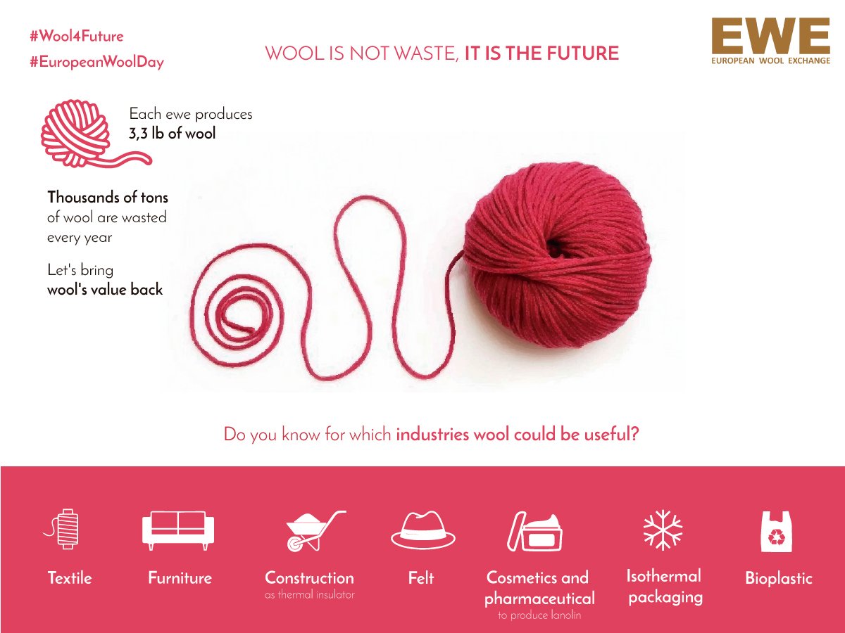 IAIA_Granny's tweet photo. #EuropeanWoolDay #Diaeuropeodelalana #Wool4Future #Lalanaeselfuturo
First European Wool Day Next 9 April. #SaveTheDate @IAIAORG @IAIA_Granny @TrashumanciayN @DehesaLana https://t.co/h4rXQW4F5z