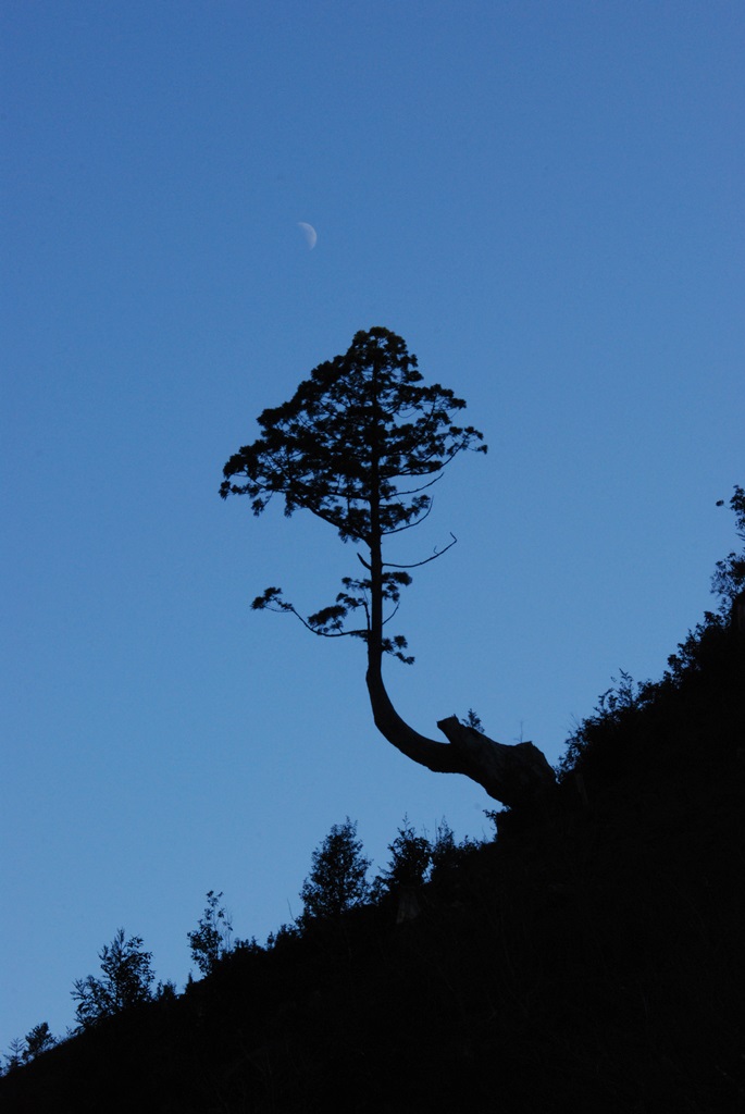 小坂森林鉄道研究会 tweet media