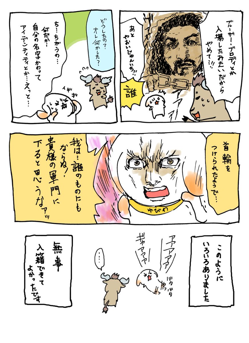 入籍前夜のこと。この時、ニュースで夫婦別姓の特集とか報道してて、いろいろ不安になってた気がします。
主に私がだいたい暴れてた。 