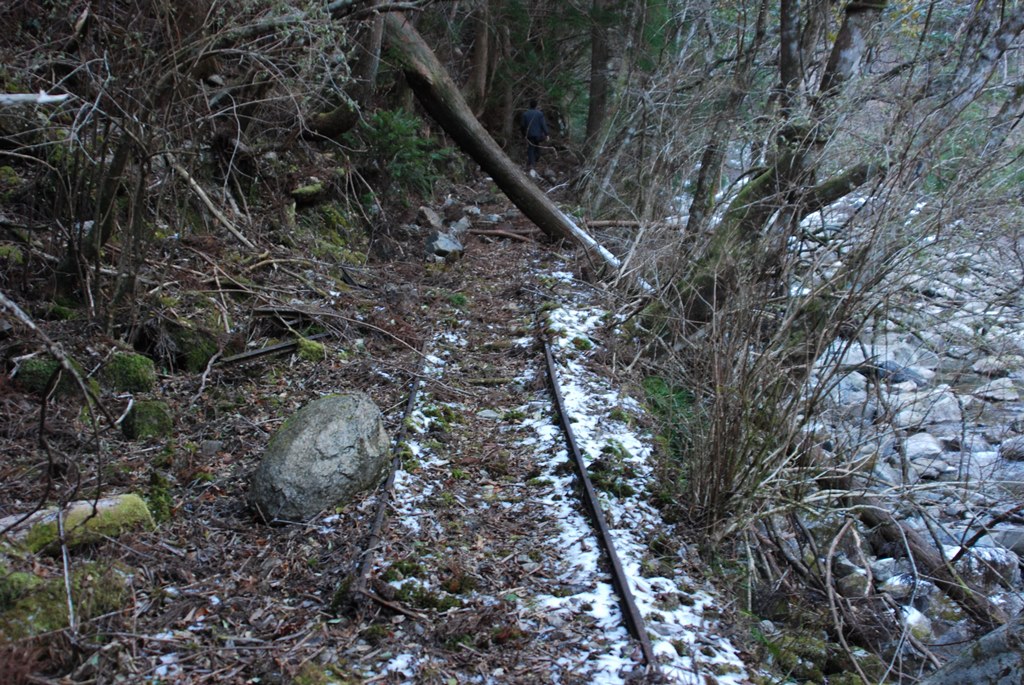 小坂森林鉄道研究会 tweet media
