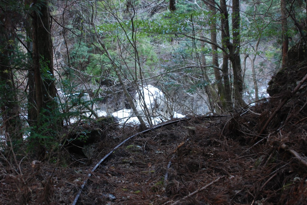 小坂森林鉄道研究会 tweet media