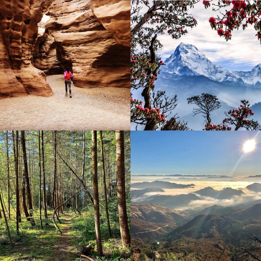 RunVirtual365's tweet photo. #runwithaview like these anywhere in the world with our races! Live leaderboards with people around the world let you choose your own beautiful course. Learn more at the link in our bio! 

📸: @sidneytowers @duck_trails @himalayan_xtri @lilach_dvir_avner  

#runvirtual365 https://t.co/BhEqDCjU1b