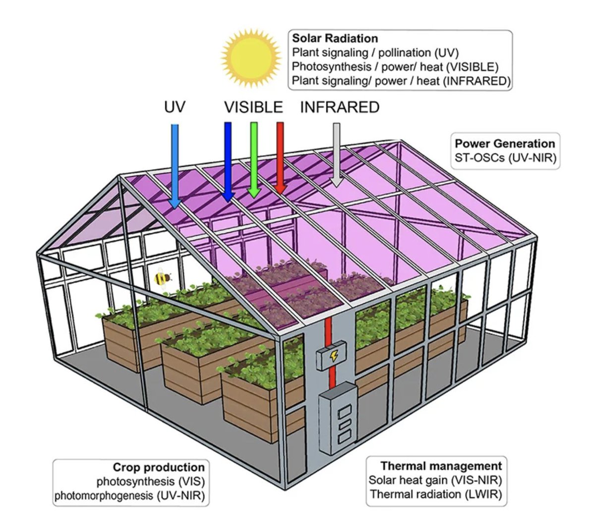 ajitjohnson_n's tweet photo. semi-transparent solar cells can generate electricity without affecting the growth and health of the plants inside. https://t.co/zqwc0VkUsP https://t.co/4XxScw7cKj