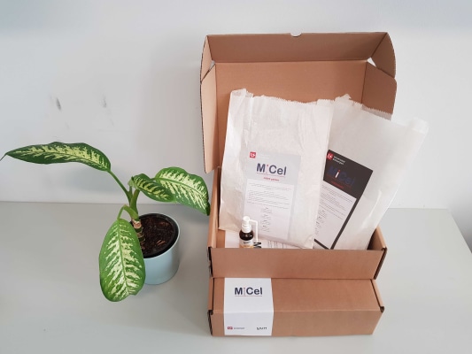 Onderzoekers van onze universiteit hebben een #keelspray ontwikkeld die de symptomen van #COVID19 kan bestrijden. Ze zoeken 100 positief geteste #proefpersonen om de spray uit te testen.

atv.be/nieuws/kan-dez…