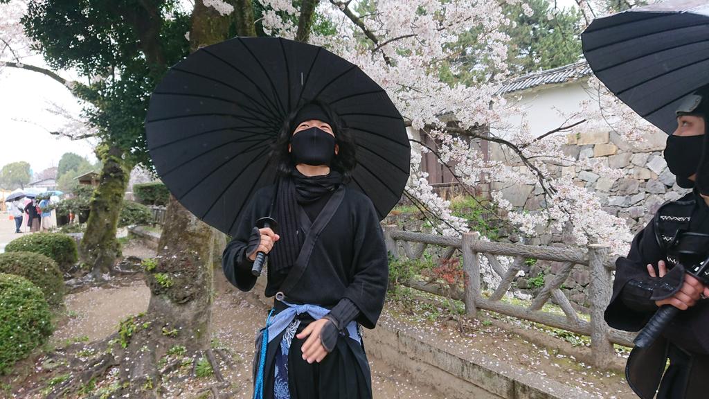 強い風で桜吹雪になったときに、かわいそうにって言うところが半蔵様らしいなあと思いました🌸