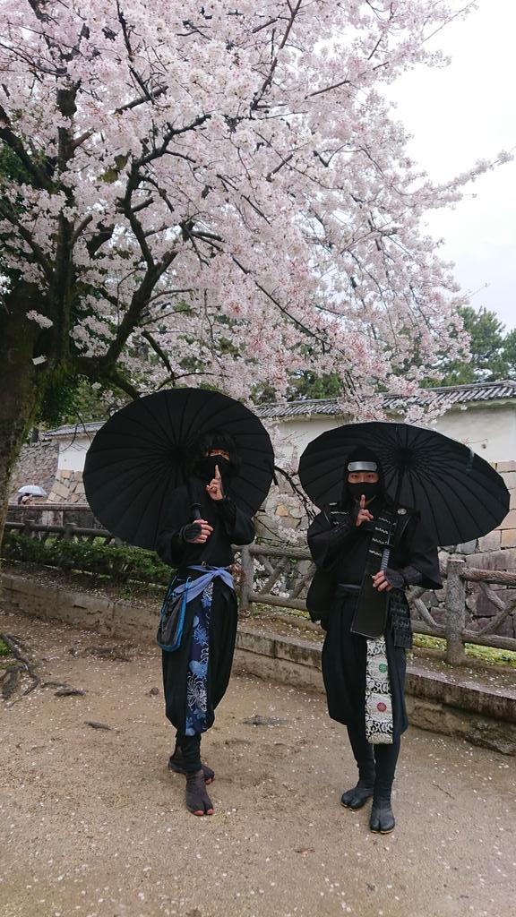 すてきな場所
#服部半蔵忍者隊 #名古屋城