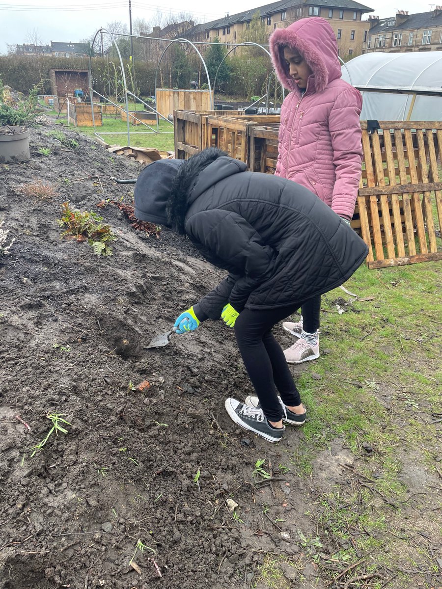 PPSP7B's tweet photo. Fun at the bowling green this morning as we were planting trees! The rain definitely didn’t dampen our enthusiasm! #outdoorlearning https://t.co/lNEEn5bvUm