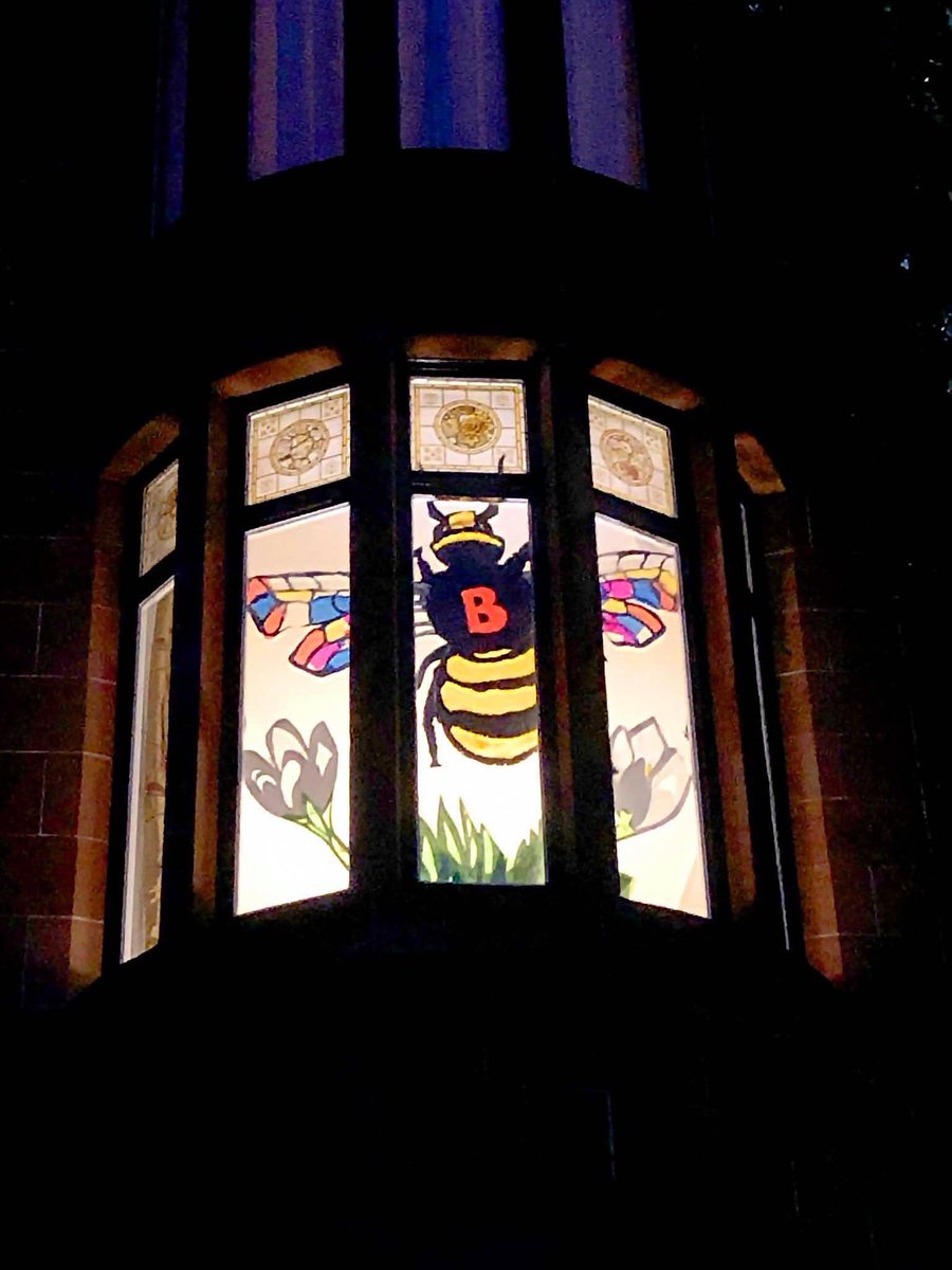 WalkWindows's tweet photo. There were some great contributions to our Windows of Wonder Walk which shone out on a rainy night. Thank you to everyone who took part. The judges are still swithering over the high-quality entries. Winners announced soon... https://t.co/VMqqgbTQAC