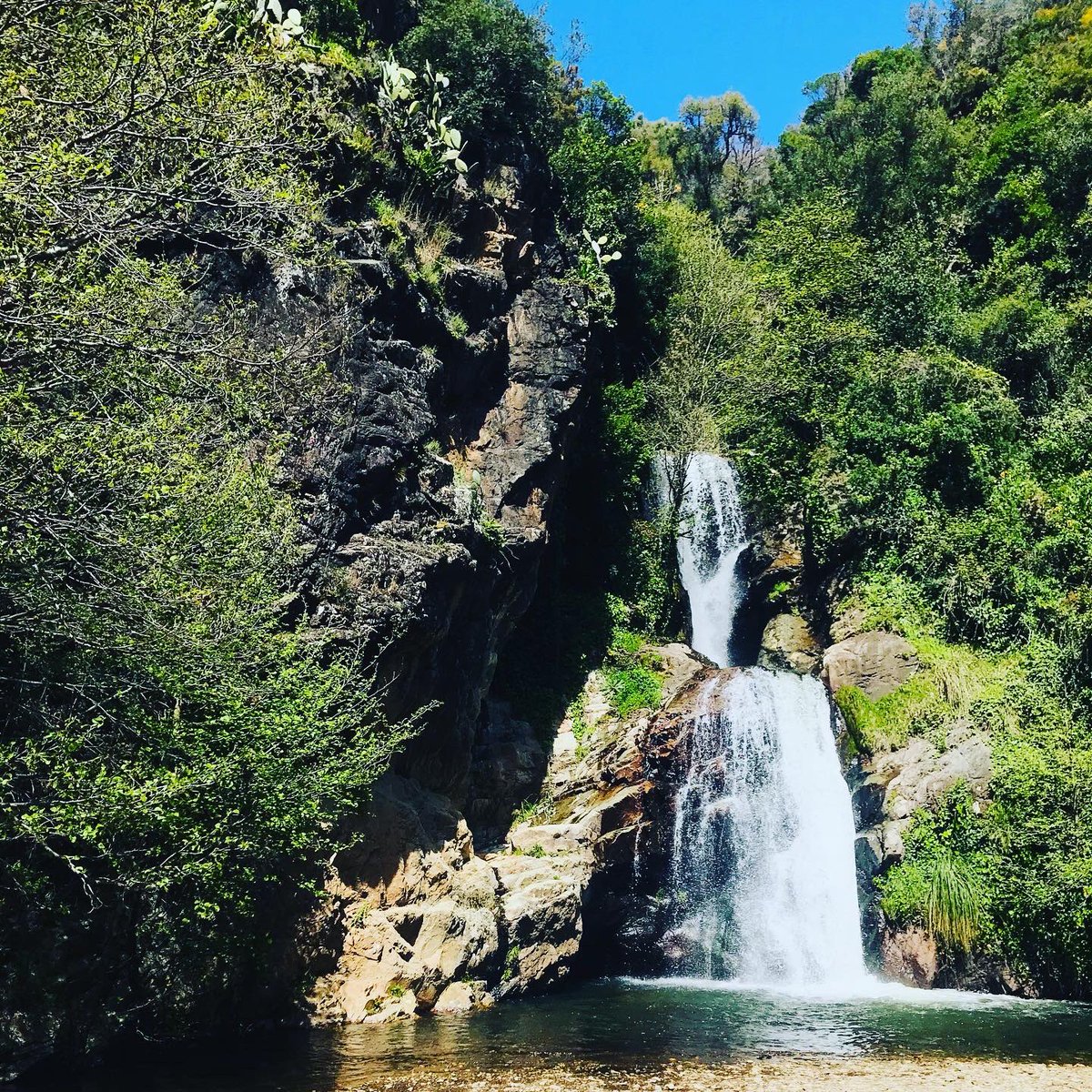 AHLEMBNN's tweet photo. #ain_sedma#kanaoua#collo#skikda#algerie https://t.co/ntqbIhutvC