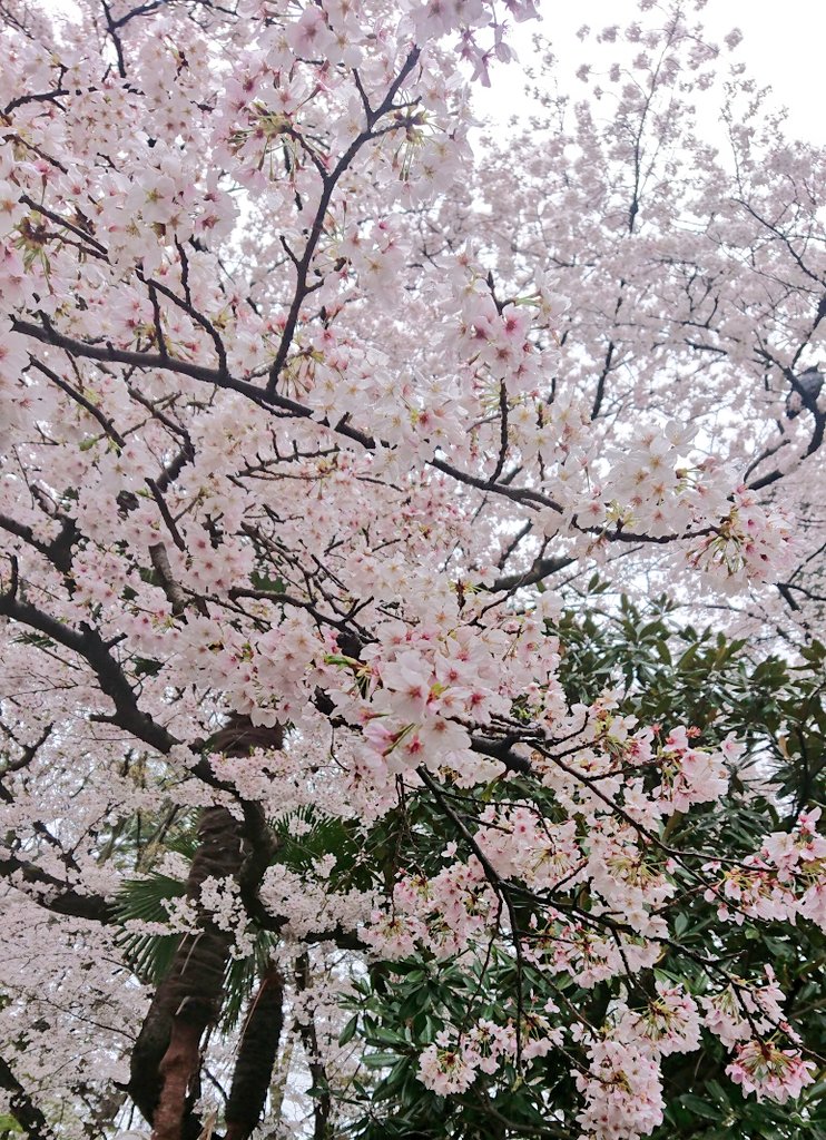 いっぱい泣いたりもしたけど
楽しかったな