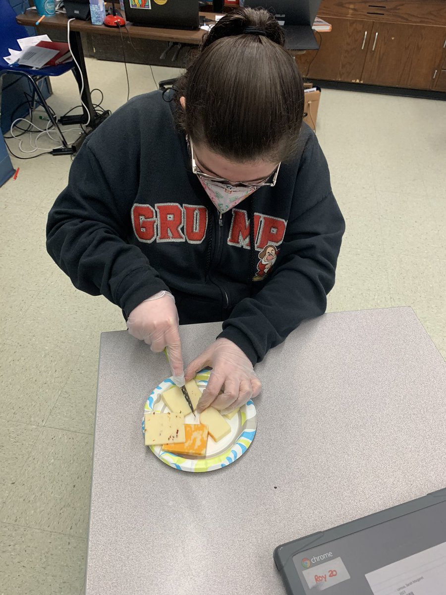 MHS_PreVoc's tweet photo. Cheese tasting while we are learning about Wisconsin and cheese making... #prevoc #cheese #socialstudiesconnections #cutthecheese @mpsSpedDirector https://t.co/ITK4KIIUQE