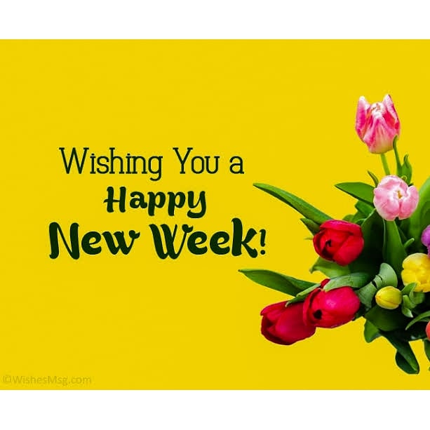 shakershotel's tweet photo. Be sure to have an awesome week when you indulge in a crispy and mouth-watering  dine-in experience at Shakers HOTEL.

For enquiries, please call  07038973538, 08077239399.

#mondaythoughts  #MondayMotivaton https://t.co/sF6G7wk0OI