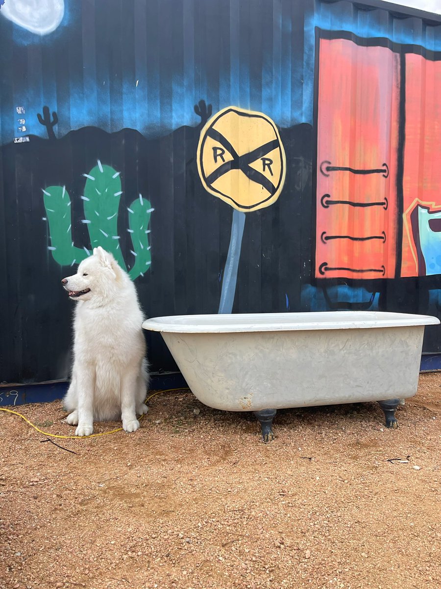 LeonVanSam's tweet image. Fourteen unique tracks to choose from
Banjo, keys, guitar and then some.
Guaranteed to make your heart hum,
Won’t you buy his indie album?