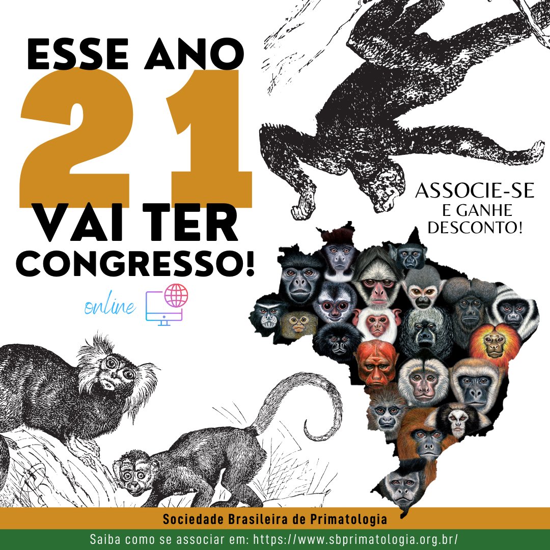 sbprimatologia's tweet photo. Vamos ter Congresso Brasileiro de Primatologia esse ano. Pela primeira vez ele será online!
Além disso, nos próximos meses teremos cursos promovidos pela sociedade.
Fique atento às nossas redes e associe-se! https://t.co/0o9Lc4qnmz
Sócio tem descontos nesses cursos e congressos. https://t.co/GJTA6bSd44