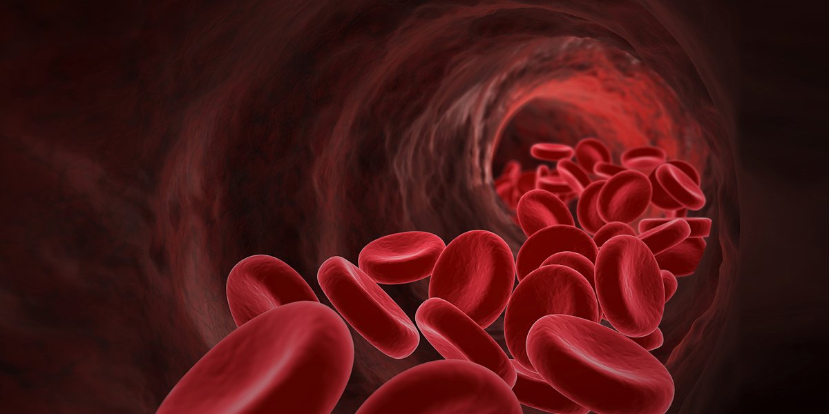 En el curso 'Actualización en tratamiento antiagregante: un enfoque práctico' conocemos beneficios e inconvenientes de diferentes estrategias antitrombóticas en ptes. a los que se implanta una prótesis aórtica percutánea.

Matrícula abierta #CampusSEC 👉ow.ly/bBF450E92FU