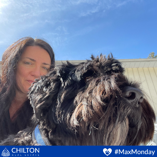 TheChiltonTeam's tweet image. ☀️ Anne &amp;amp; Max outside enjoying the warmth &amp;amp; sunshine we've been so lucky to have.

🐶 'Look Mom, the squirrels are back to play!'

#MaxMonday #PuppyLove #RuffPost #DogsAreTheBest #MyDogIsFunny #FloppyEars #Dogs #Dog #DogLover #DogFriendly #PortugueseWaterDog