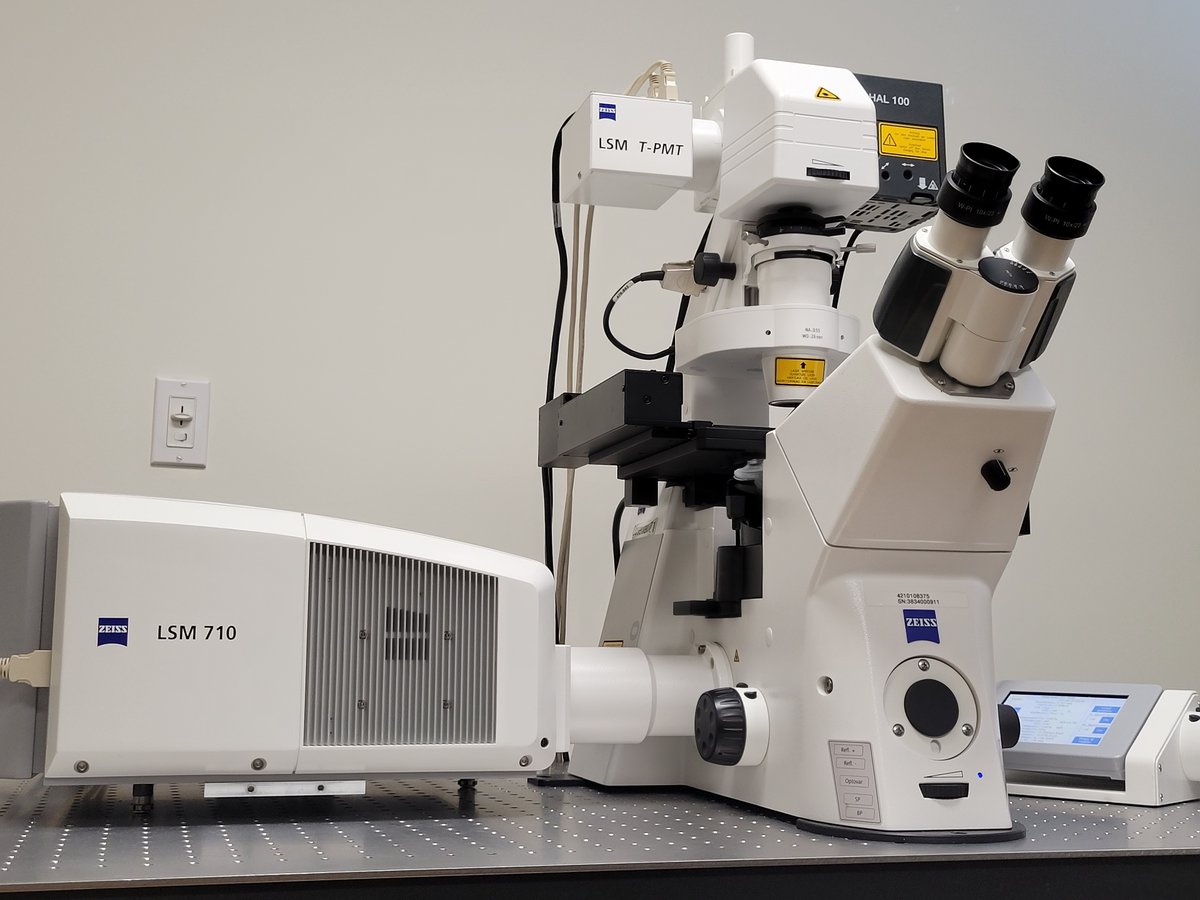 TerasakiInst's tweet photo. Here at the Terasaki Institute, we use a ZEISS LSM 710 Confocal Microscope! This microscope can generate very detailed high-resolution images, great for thicker specimens!
#ZEISS #TerasakiInstitute #LSM710 #ObserverZ1 https://t.co/XILLswUdjD