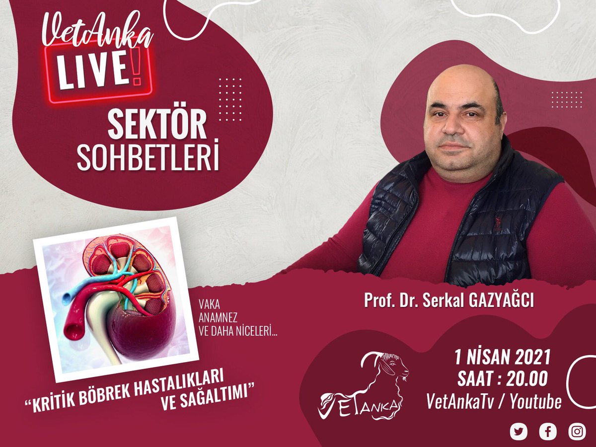 #VetAnkaLiveSektörSohbetleri etkinliğimizin 7. si ile karşınızdayız. 1 Nisan 2021 Perşembe günü Prof. Dr. Serkal Gazyağcı Hocamız bizlere “Kritik Böbrek Hastalıkları ve Sağaltımı” konusundan bahsedecek. Hepinizi VetAnkaTV Youtube kanalımıza bekliyoruzz.👀💫🐕🐄
#VetAnka