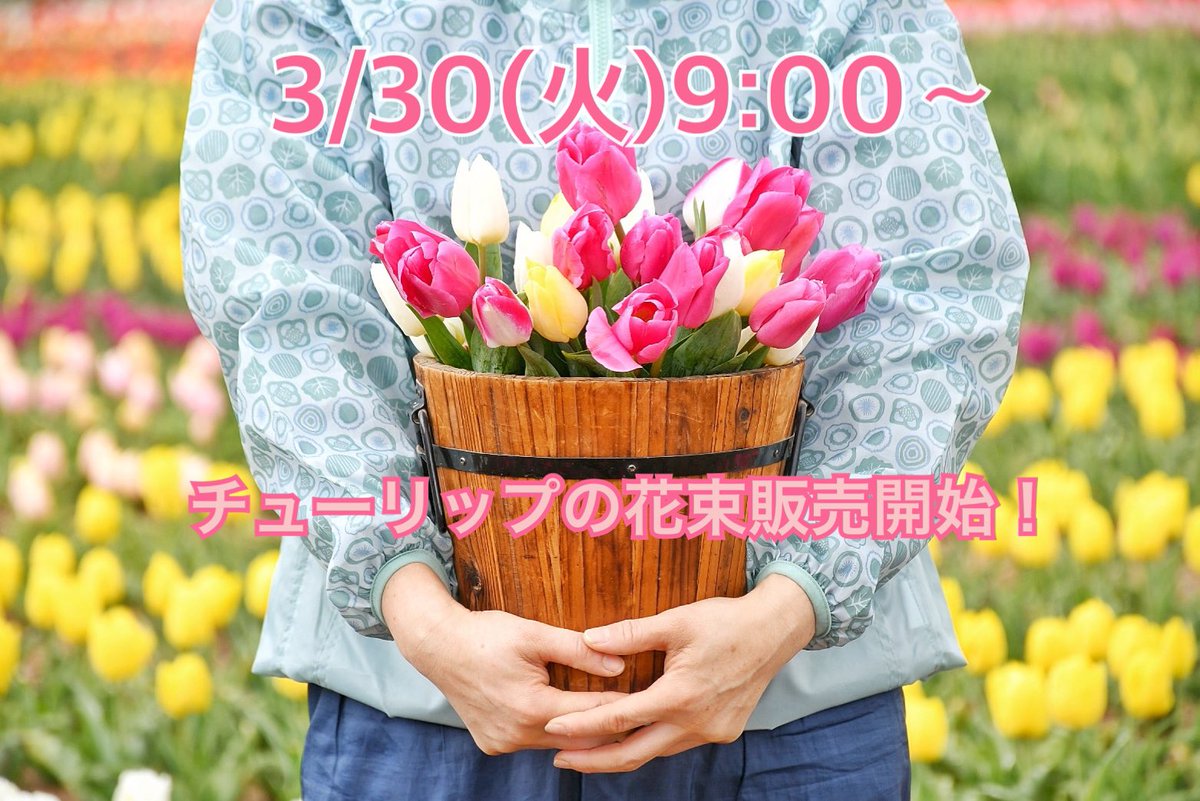 世羅高原農場 公式 Serakogen Twitter
