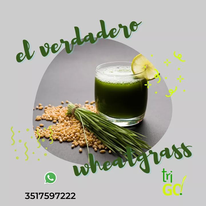 VictMoncada's tweet photo. ✅ Probà el verdadero wheatgrass !!! Con tri-GO! 🍹 el sabor de la clorofila con tu jugo de frutas 🍊🍎 o verduras 🥑🥦 lleno de vitaminas!
#wheatgrass #wheatgrassjuice #wheatgrassshot #wheatgrassfield #jugodetrigo #jugoverde #trigojugo #trigo #saludable #hidroponia #clorofila https://t.co/DNBaP5UShF