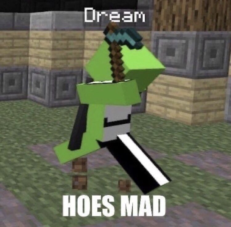 Simperyness's tweet image. He reached it this fast😳 LETS FUCKING GO THOUGH FUCKING AMAZING. THANK YOU DREAM FOR EVERYTHING. IDK WHAT ELSE TO SAY RN #DREAM20MIL