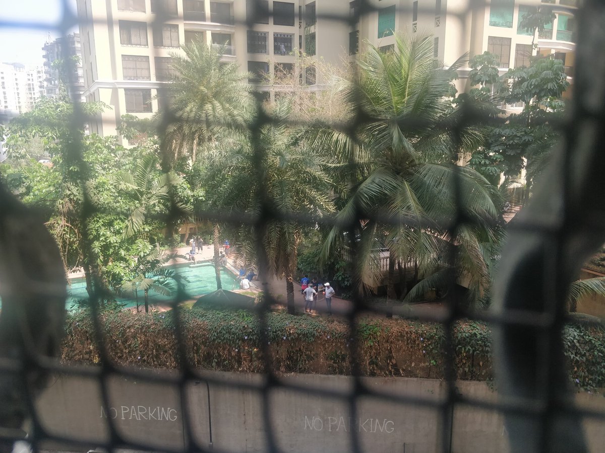 WebGuruSana's tweet photo. @Lokhandwala_Bom @ChatterjeeBadri @GreenStalin @rishi75 @CMOMaharashtra @moefcc @PMOIndia @MahaForest @GreenLineMumbai @TandonRaveena @ashokepandit @SMungantiwar @MumbaiMirror @vivekanandg @Thevarsteffy People in Windermere building playing Holi in the pool. No masks on the people roaming near the pool. @mybmc @mybmcwardKW https://t.co/caPcgVMy87