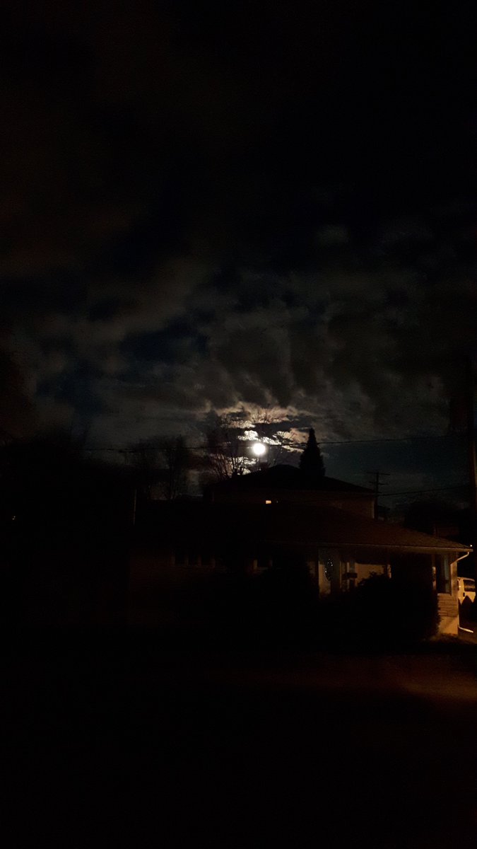 mourning_dove_3's tweet photo. @aidanrad The same full Moon seen from Canada last evening (~20:25 o'clock) 🌕
#SugarMoon #SapMoon #WormMoon #CrowMoon https://t.co/ITuYivs7LN