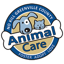 FlagshipSC's tweet photo. Move-In Monday 🐶 🐱 🎉🏠: If you're looking to help a pet find their forever home, check out  Greenville County Animal Care. They have local dogs and cats available for adoption!

Dogs: https://t.co/NtCAUz1yGg
Cats: https://t.co/hKCv7fep7I https://t.co/Hau7fKPGKz