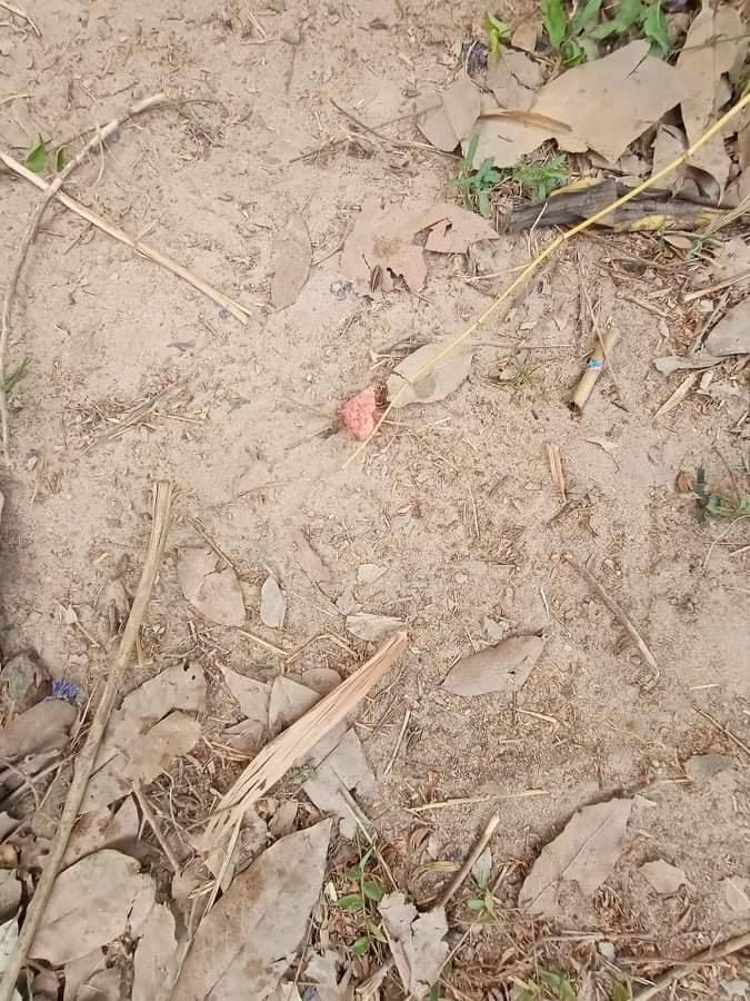 Zinlayy3's tweet photo. Military terrorists violently crackdown with live ammunitions that 3 ppl got shot, at head, pubis and abdomen respectively in #Thanlyin, Yangon.The body of the one with headshot was taken away by terrorists.Local said he's from medical team.
#Mar29Coup
#WhatsHappeningInMyanmar https://t.co/OV8IPmEPvU