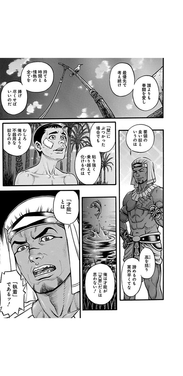 こゆるぎ岬 古代ローマの格闘技マンガ セスタス は現役格闘マンガの中でもトップクラスに面白いんだが こういう努力こそ大事 みたいなセリフも物語のなかでちゃんと活きているから好き 不器用なファイターがエリートに立ち向かう姿カッコいい