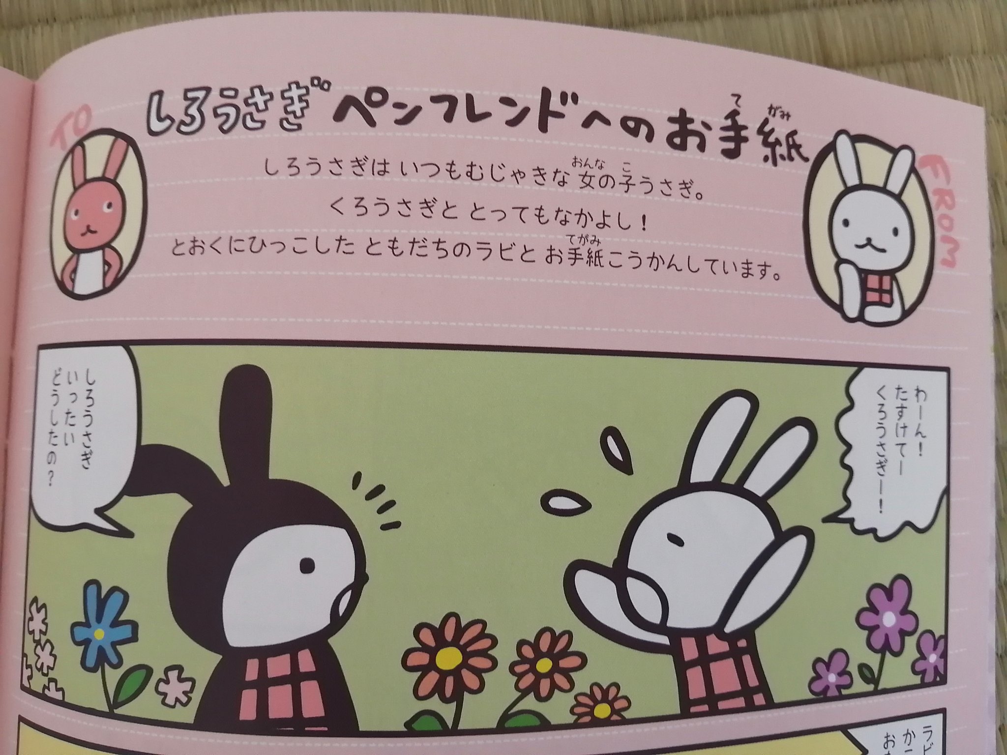 ももすけ アランジアロンゾの新作が載ってると聞いて 10何年ぶりにね ね を購入 新連載 アランジレター まさかの定期連載 ぬい撮りとマンガの新作がまた見れた 一番大好きなしろうさぎとくろうさぎとラビが初回から見れて感動
