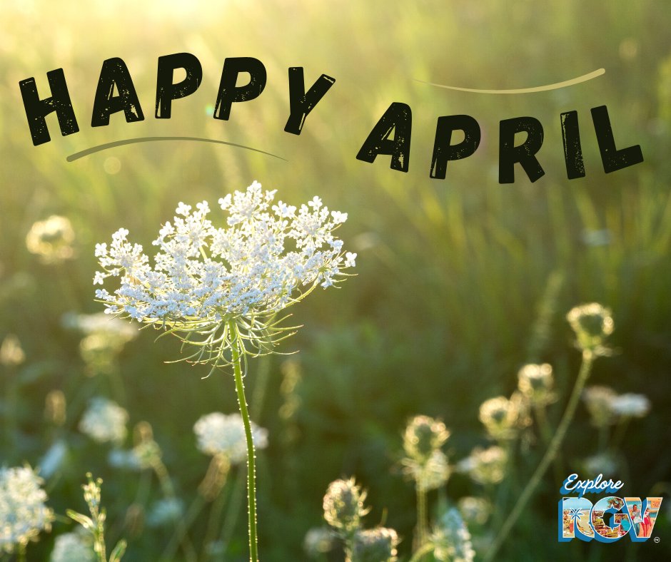 GoExploreRGV's tweet photo. HAPPY APRIL!🌻
 
May your month be full of regrowth, renewal, and a whole lot of exploring!
#ExploreRGV #RGV #April https://t.co/3plBlf3xzg